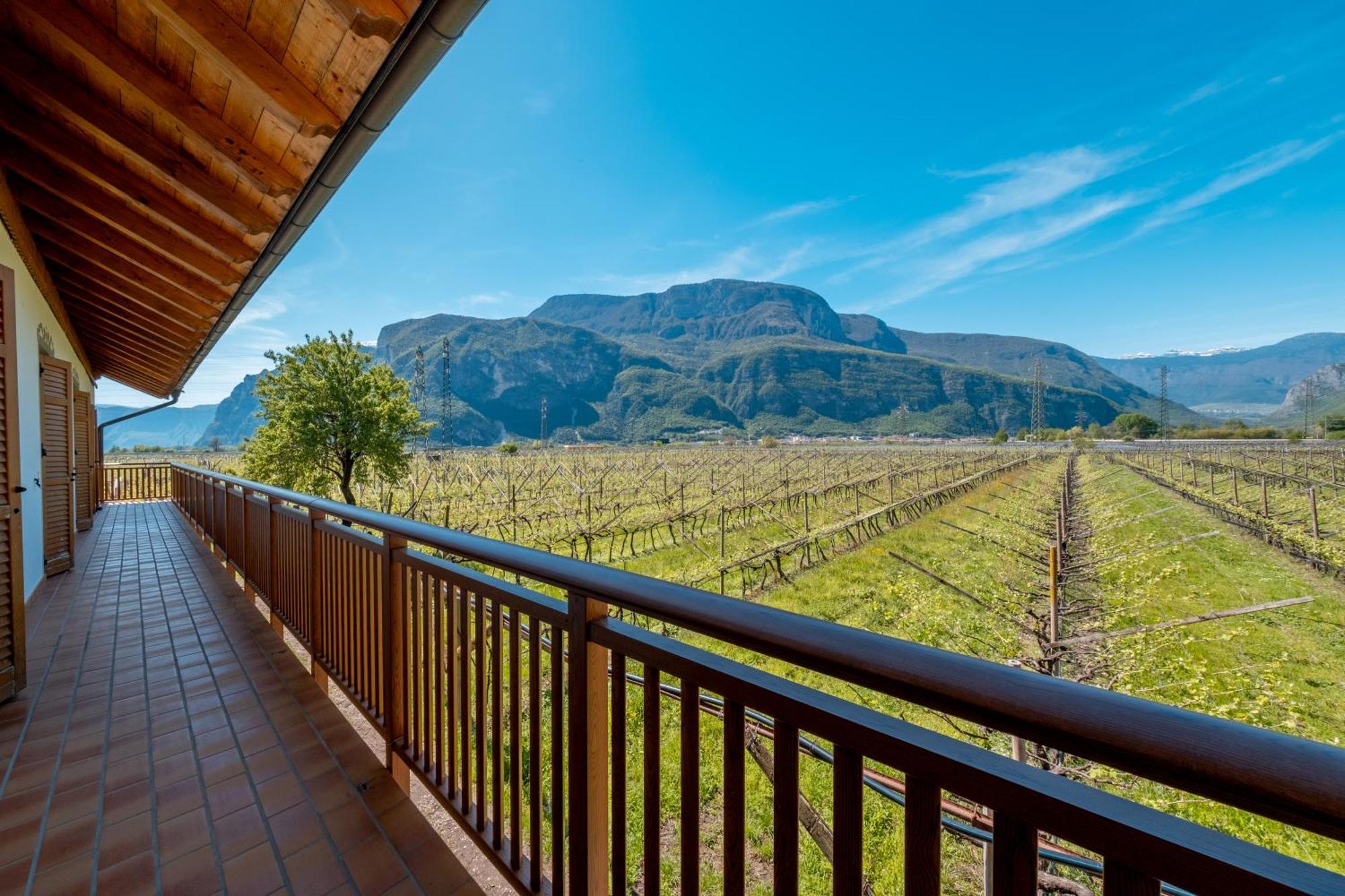 Antico Fienile Agritur Villa Mezzocorona Eksteriør bilde