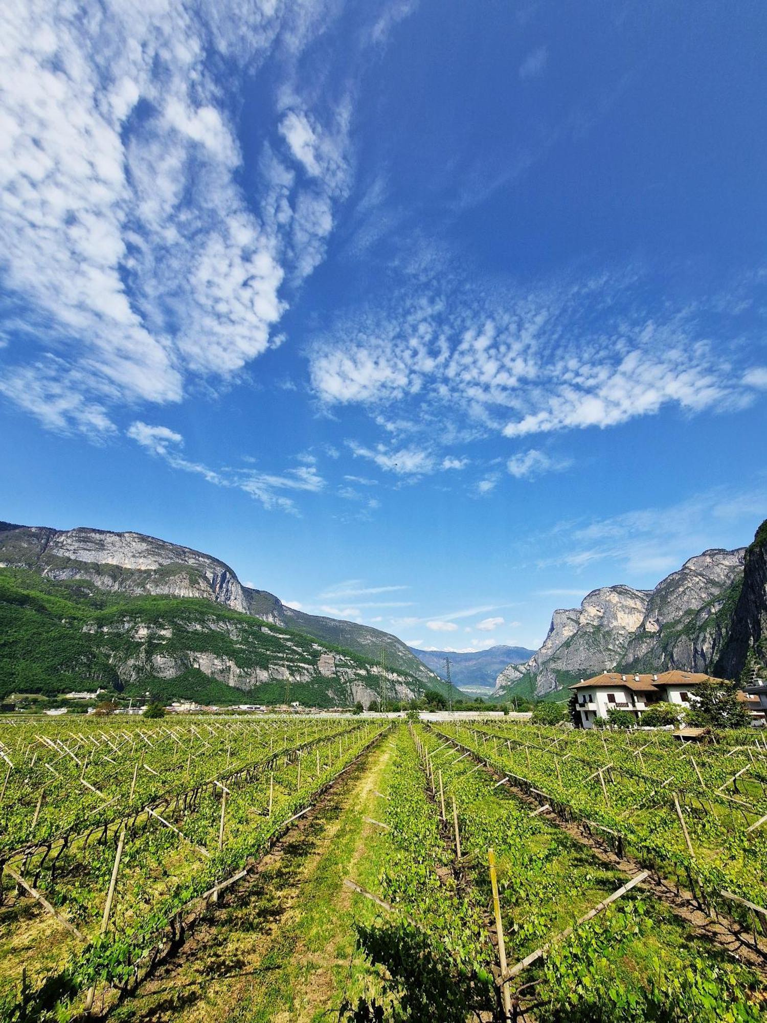 Antico Fienile Agritur Villa Mezzocorona Eksteriør bilde
