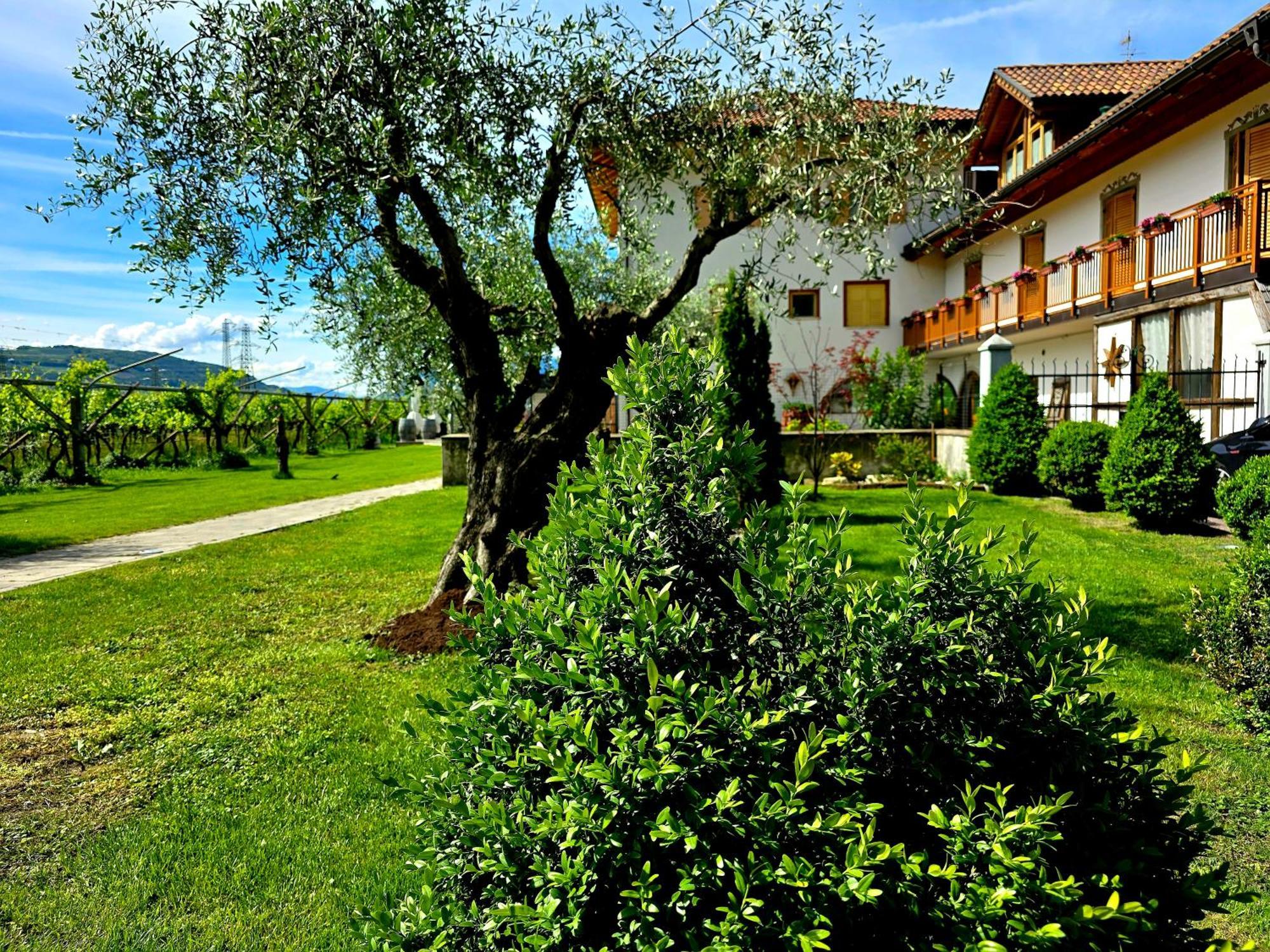 Antico Fienile Agritur Villa Mezzocorona Eksteriør bilde