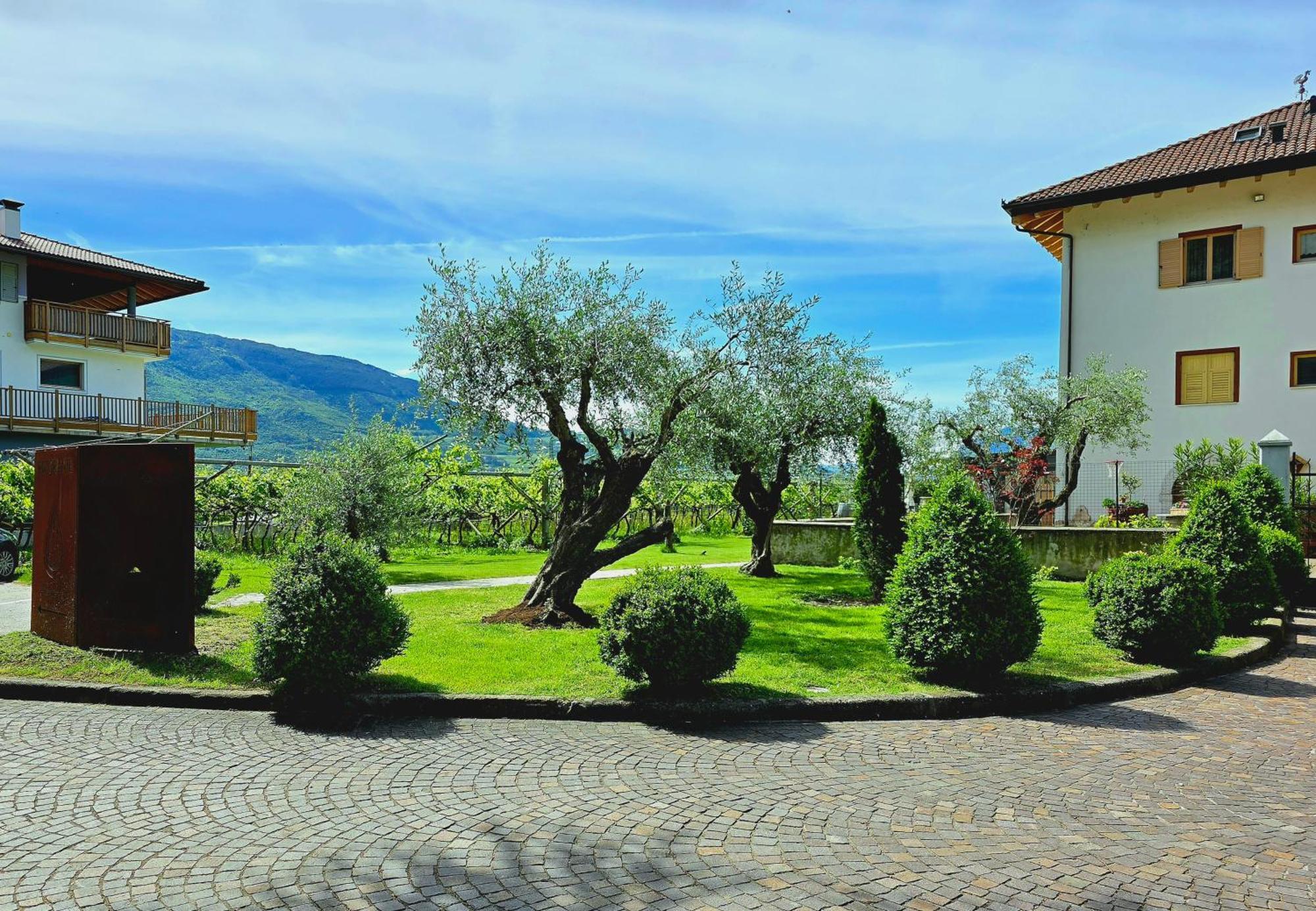 Antico Fienile Agritur Villa Mezzocorona Eksteriør bilde